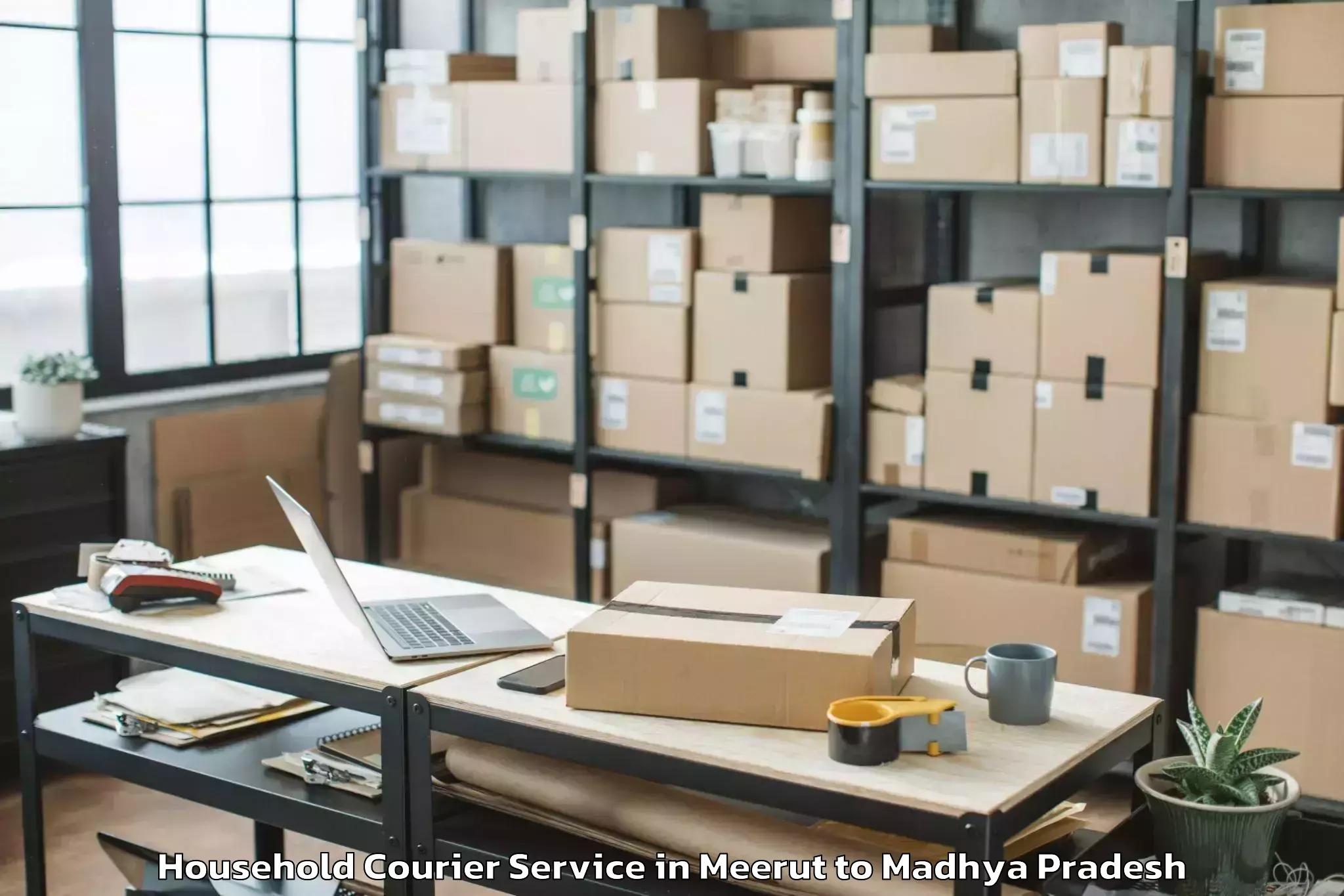 Book Meerut to Ghughri Household Courier